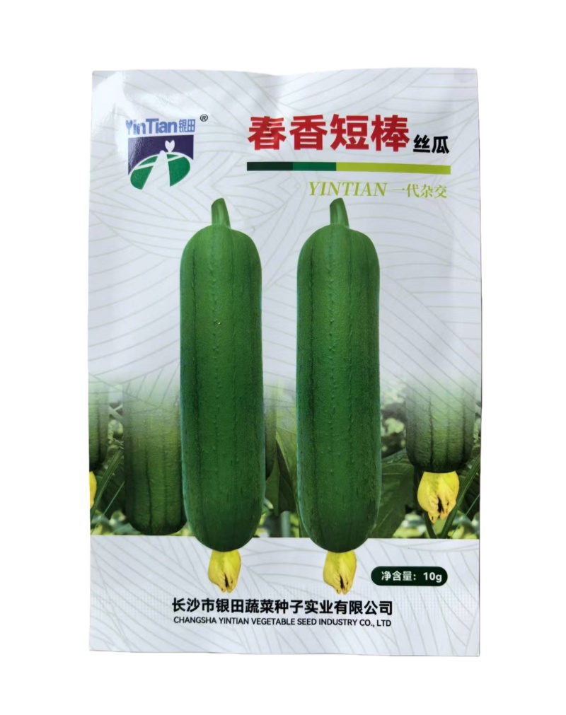 春香短棒丝瓜种子一代杂交肉丝瓜种子顺直高产瓜蒂小