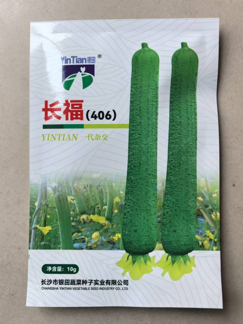 长福406丝瓜种子早熟杂交高产长丝瓜种子基地有种