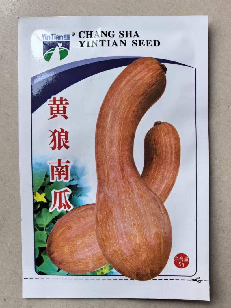 黄狼南瓜种子高产金钩黄皮南瓜种子甜面可口大吊瓜