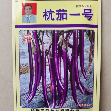 杭茄一号长茄种子杭茄红茄线茄种子基地高产10克杭茄1号