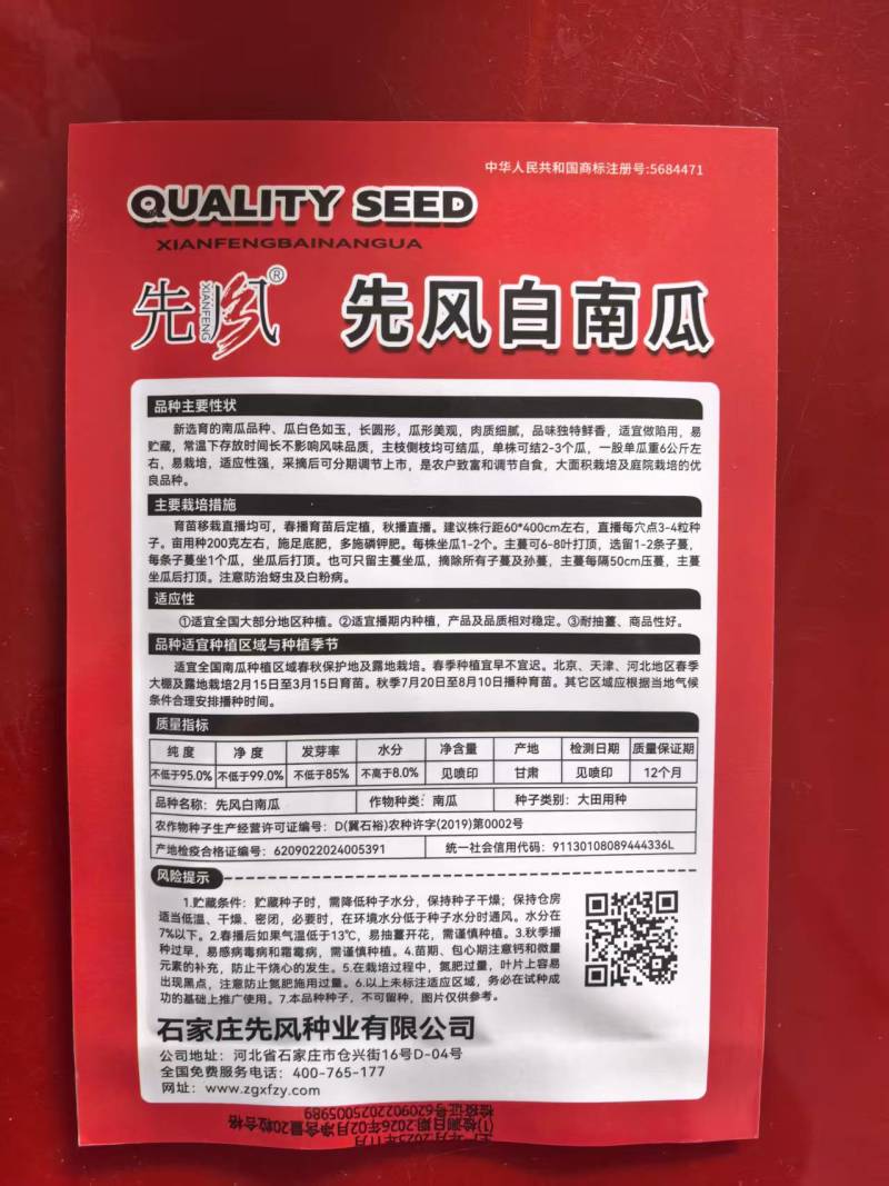 先风白南瓜种子20粒长圆形瓜形美观