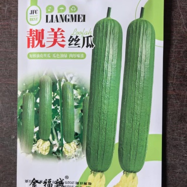 靓美丝瓜种子短棒油皮丝瓜种子瓜色油绿肉厚味浓肉丝瓜种子