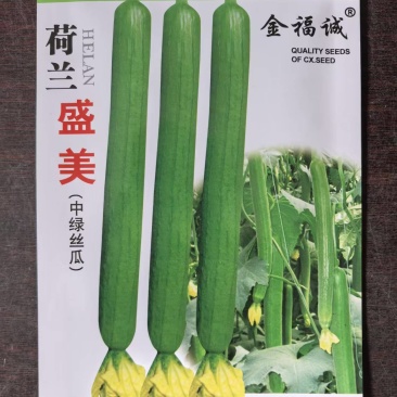 荷兰盛美丝瓜种子早熟特长中绿丝瓜种子高产采收期长10克