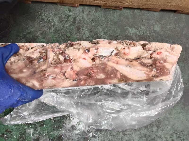 杂鱼螃蟹饲料
