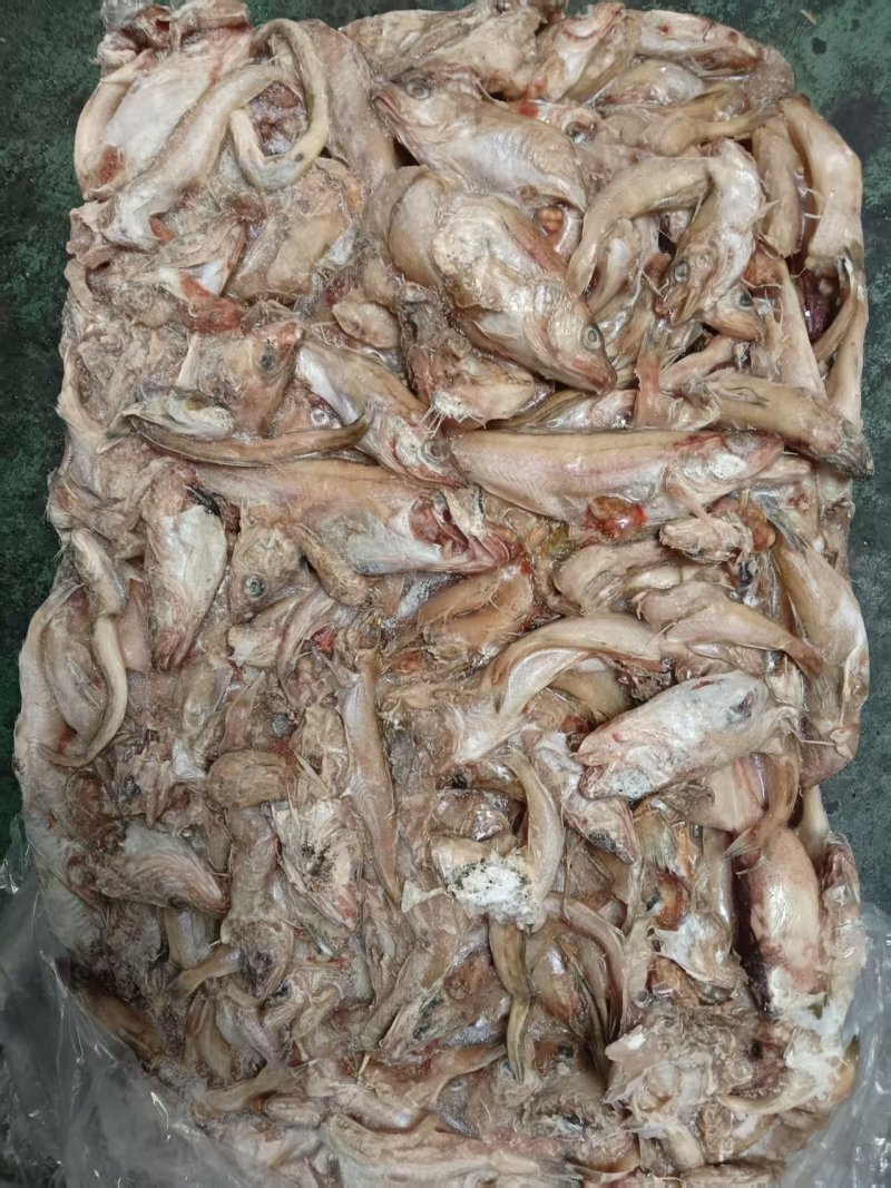 杂鱼螃蟹饲料