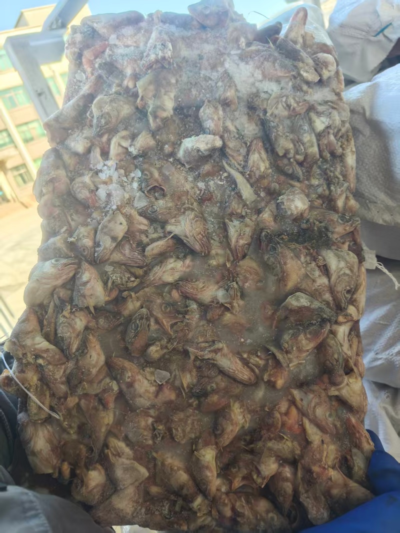 杂鱼螃蟹饲料