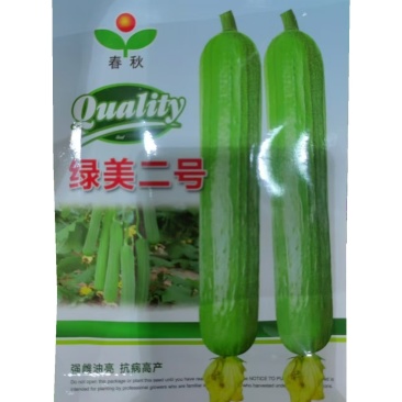 绿美二号丝瓜种子肉丝瓜种子强雌油亮高产短棒油皮丝瓜种子
