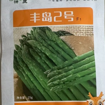 丰岛二号F芦笋种子可现场考察实地参观常年有货全国接单