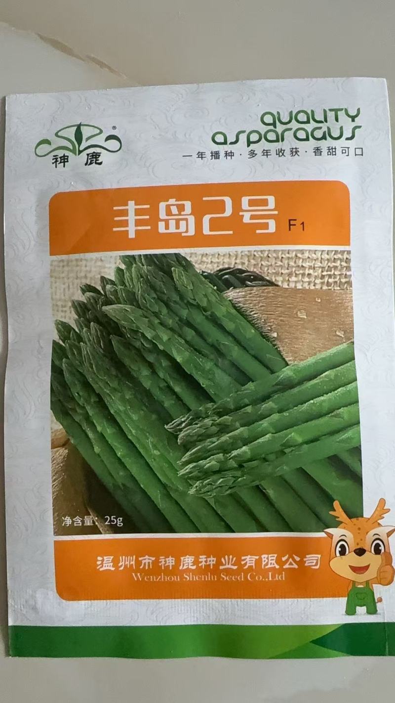 丰岛二号F芦笋种子可现场考察实地参观常年有货全国接单