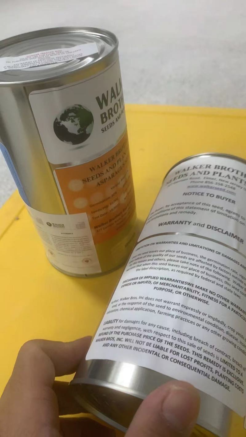 阿特拉斯F1芦笋种子10000粒一桶高产高成活高回报长得快