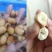 鲜活竹笋虫笋虫价格实惠营养高欢迎联系