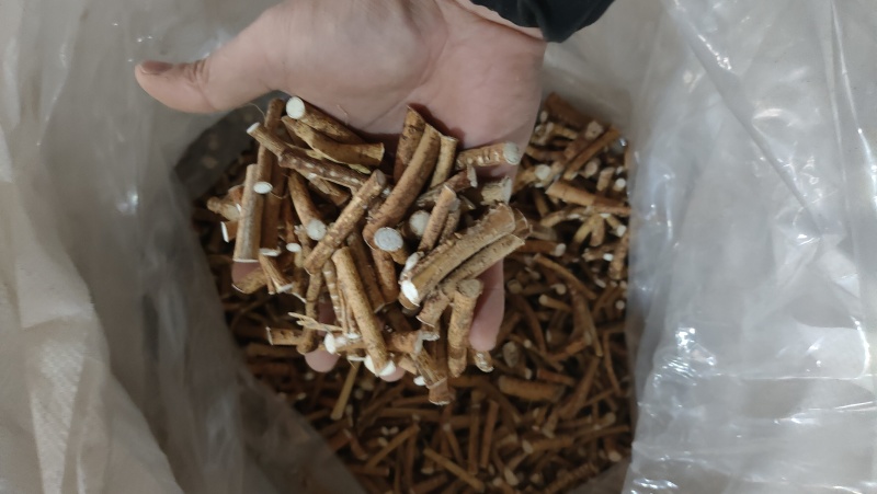 正宗五指毛桃厂家直销现货秒发新鲜直达
