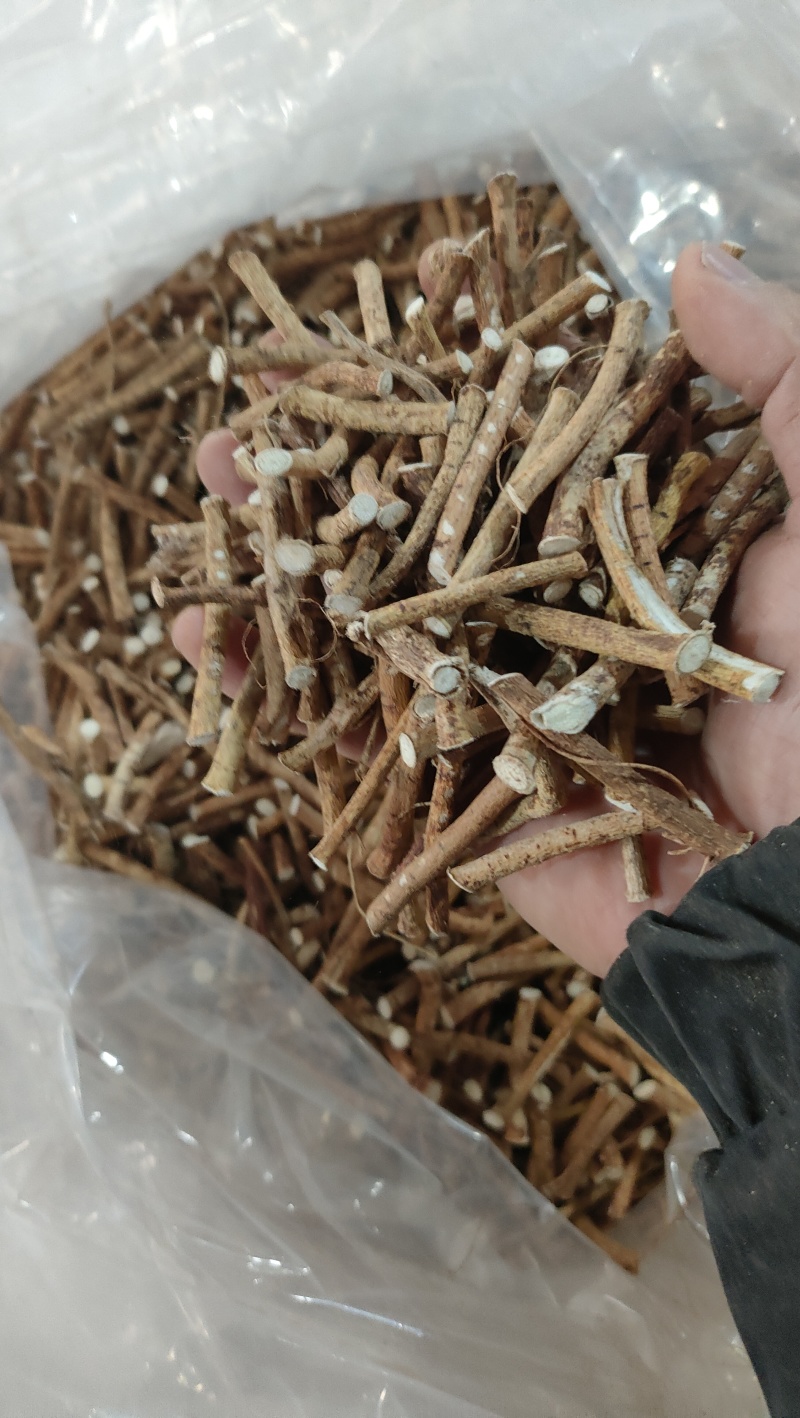 正宗五指毛桃厂家直销现货秒发新鲜直达