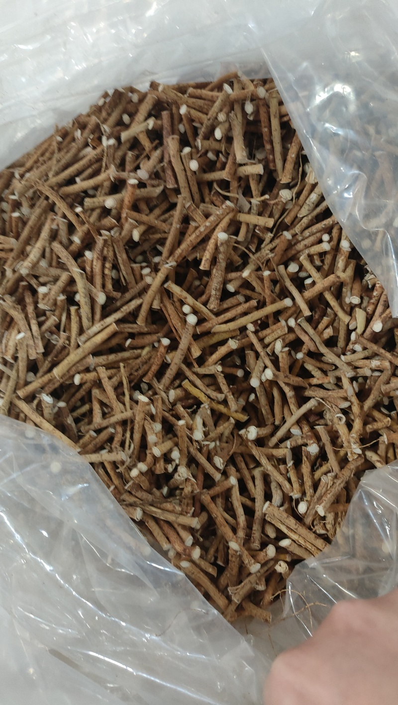 正宗五指毛桃厂家直销现货秒发新鲜直达