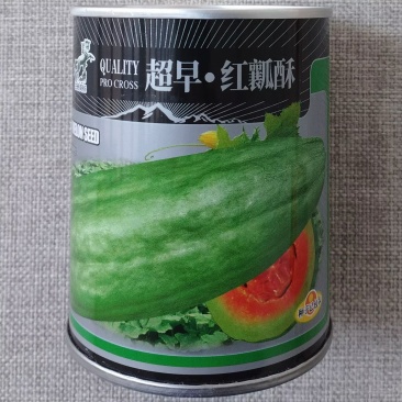 超早熟红瓤酥甜瓜种子果肉桔红酥脆多汁清香甜美红肉香瓜种子