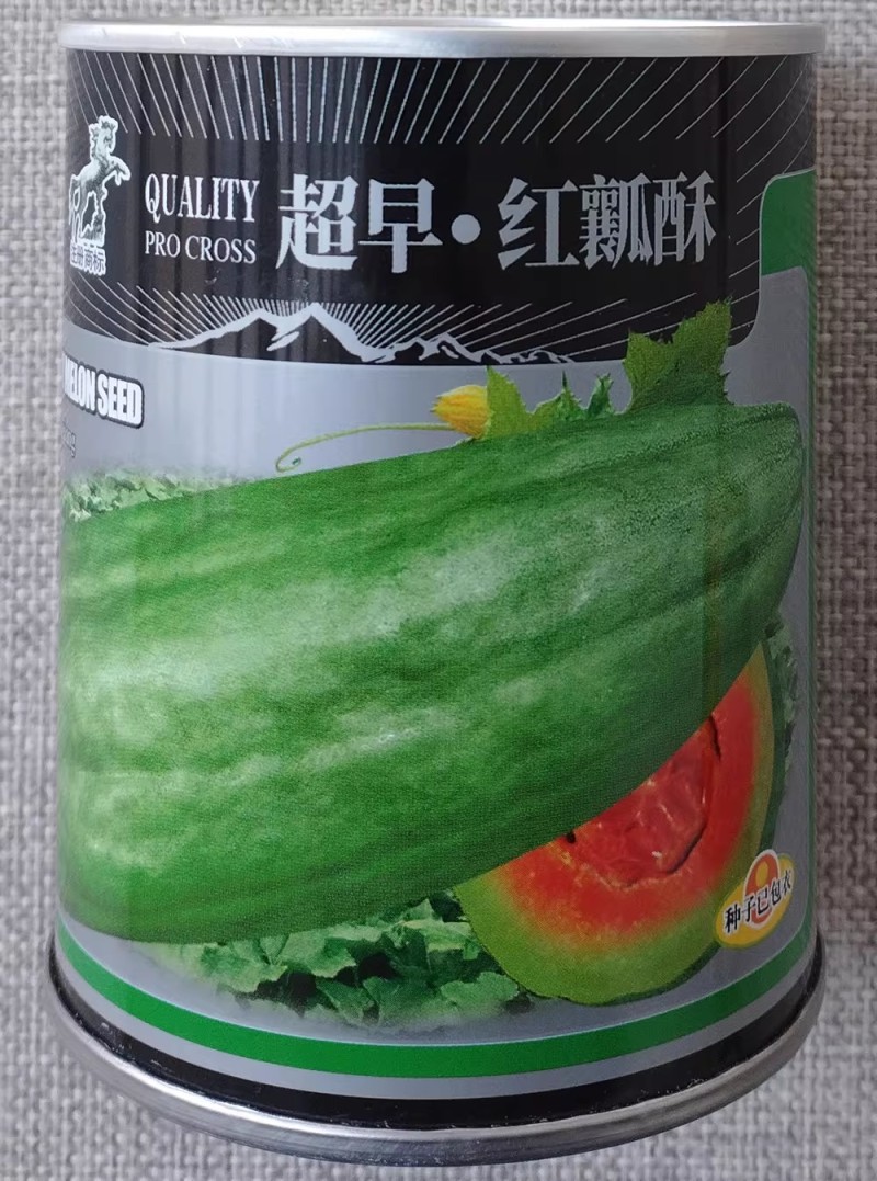 超早熟红瓤酥甜瓜种子果肉桔红酥脆多汁清香甜美红肉香瓜种子