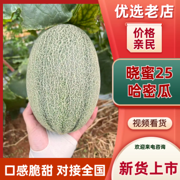 海南晓蜜25哈密瓜包熟包甜大量供应支持视频实地看货