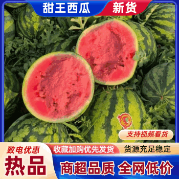 【甜王西瓜】产地直销价格优惠保质保量欢迎各老板采购