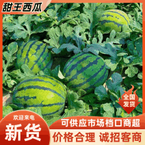 【甜王西瓜】云南产地直销量大质优价格优惠一手货源