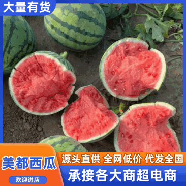 【热卖】头茬美都西瓜产地直销保质保量欢迎各老板采购