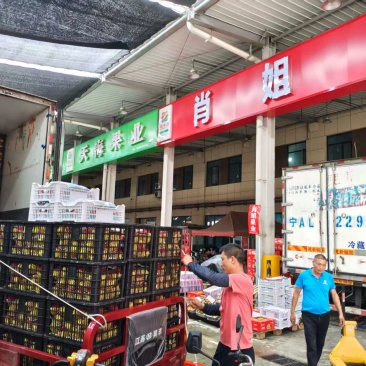 克伦生葡萄产地直发档口对接农户基地批发市场品质保障