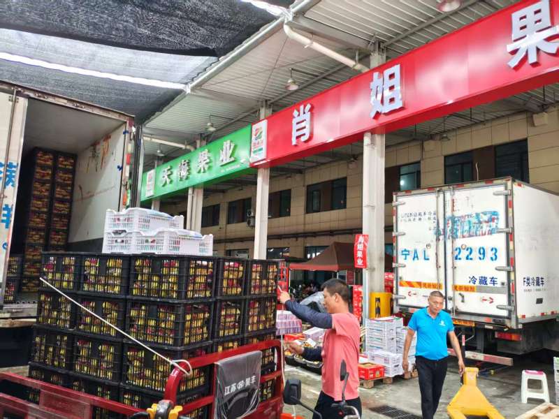 克伦生葡萄产地直发档口对接农户基地批发市场品质保障
