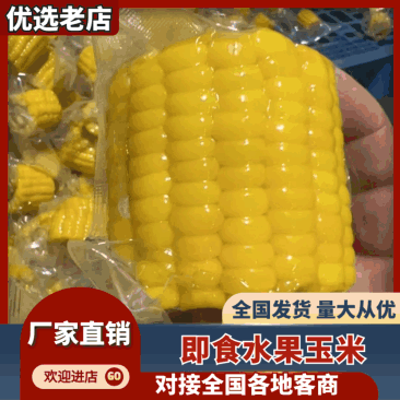 即食水果玉米大量有货一手货源品质保证服务周到产地直销