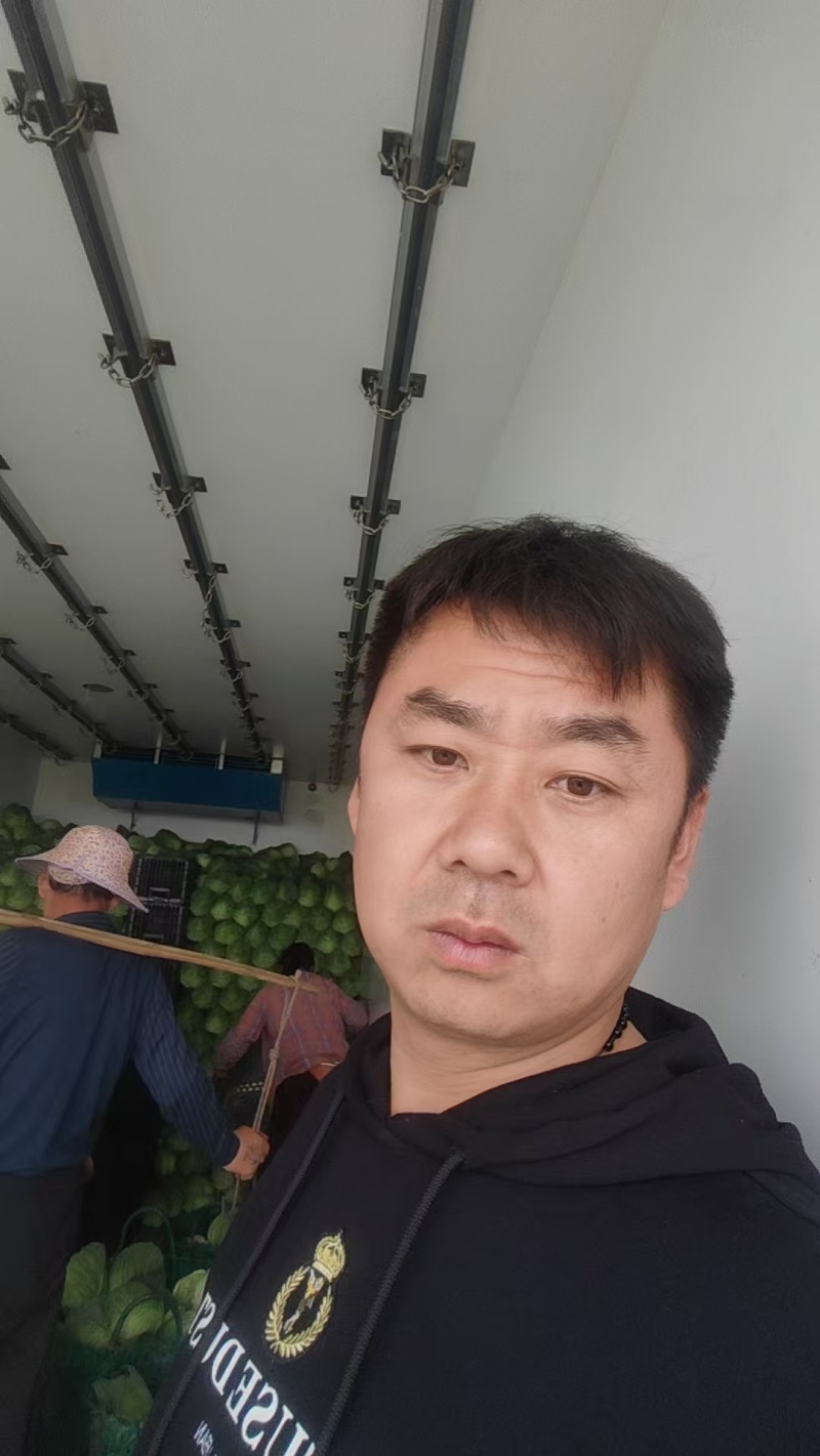 甘蓝品质保证服务周到产地直发价格美丽欢迎联系