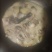 风鸡公鸡鸡肉，对接市场档口，电商商超，量大从优，欢迎电联
