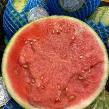 云南美都西瓜基地直发，量大从优，脆甜耐运输，电联价格可谈