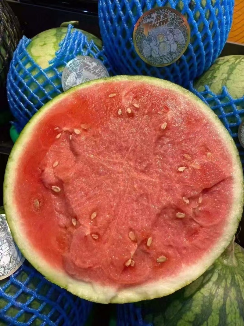 云南美都西瓜基地直发，量大从优，脆甜耐运输，电联价格可谈
