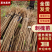 想要好成活的刺槐苗？川姐家苗圃直供，根系发达，种一棵活一