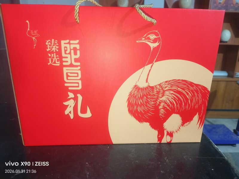 河北石家庄元氏鸵鸟蛋自家养殖常年有货各种等级规格大小