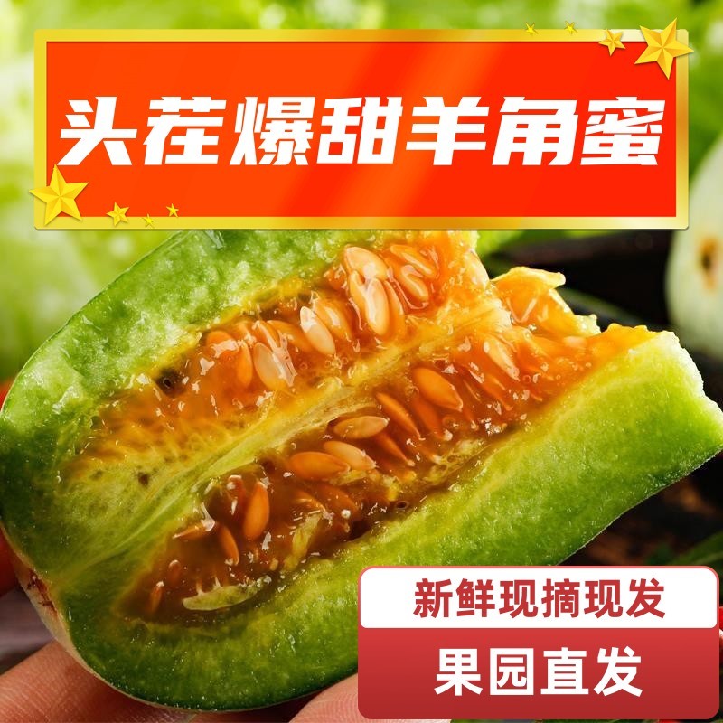 山东羊角蜜头茬新鲜采摘现摘现发电商一件代发包邮