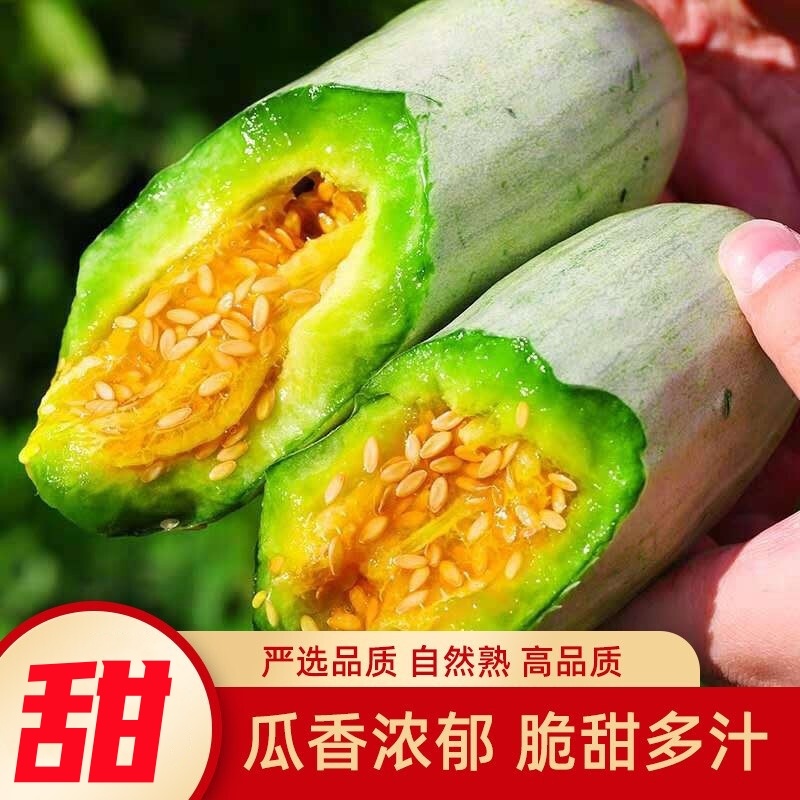 山东羊角蜜头茬新鲜采摘现摘现发电商一件代发包邮