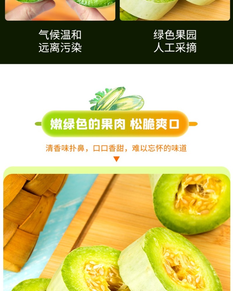 山东羊角蜜头茬新鲜采摘现摘现发电商一件代发包邮