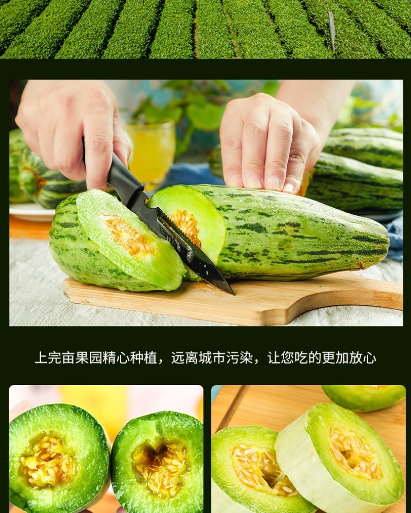山东羊角蜜头茬新鲜采摘现摘现发电商一件代发包邮