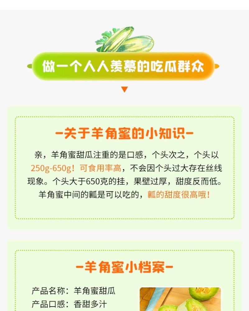 山东羊角蜜头茬新鲜采摘现摘现发电商一件代发包邮