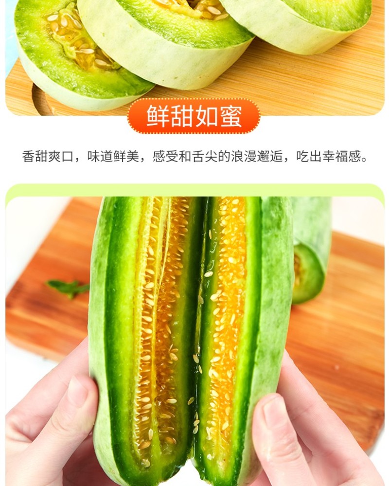 山东羊角蜜头茬新鲜采摘现摘现发电商一件代发包邮