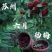 乌紫杨梅苏州东山原厂地现货采摘生产批发销售团购价格优惠