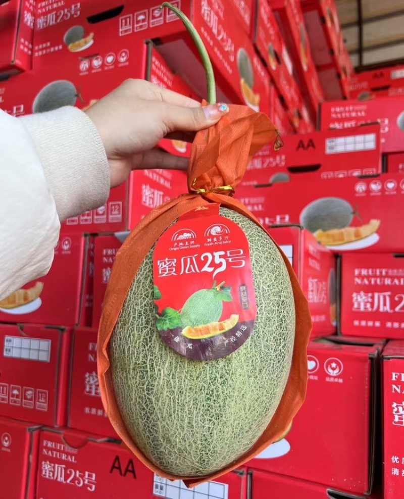 海南哈密瓜晓蜜25哈密瓜对接电商市场商超可视频