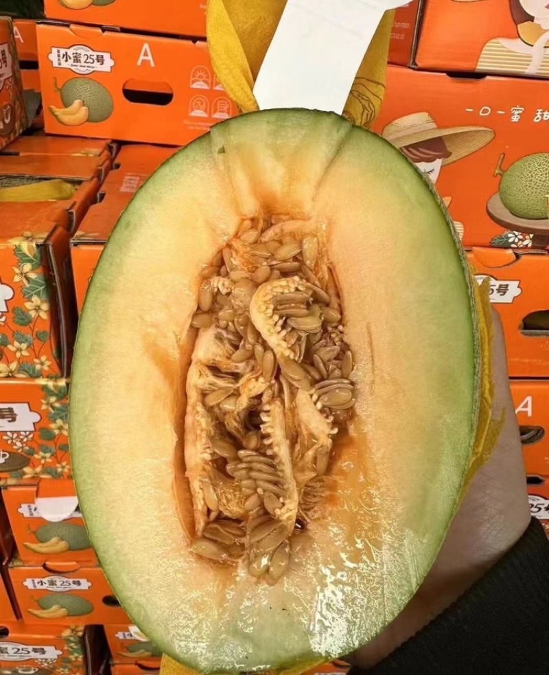 海南哈密瓜晓蜜25哈密瓜对接电商市场商超可视频