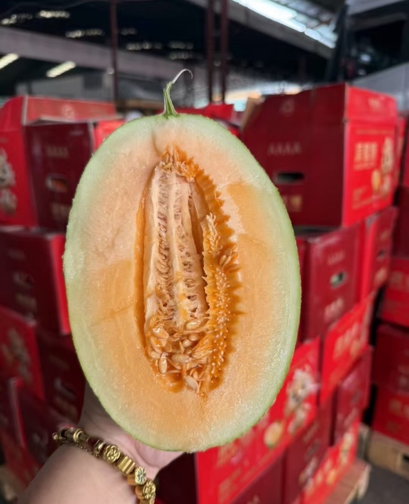 海南哈密瓜晓蜜25哈密瓜对接电商市场商超可视频