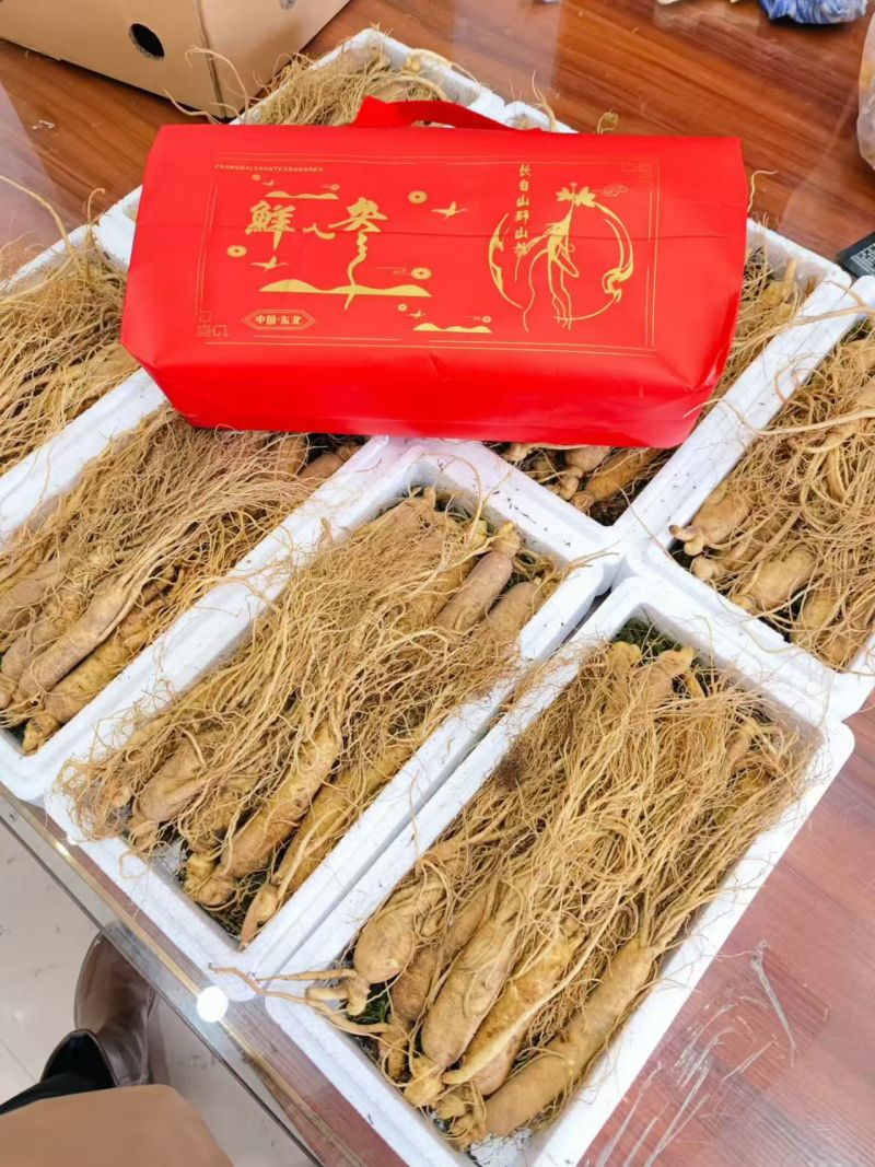 鲜人参，一盒也是批发价，常年有货，冷库储存可对接全国客商