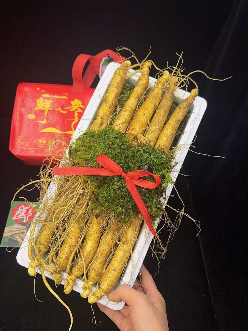 鲜人参，一盒也是批发价，常年有货，冷库储存可对接全国客商