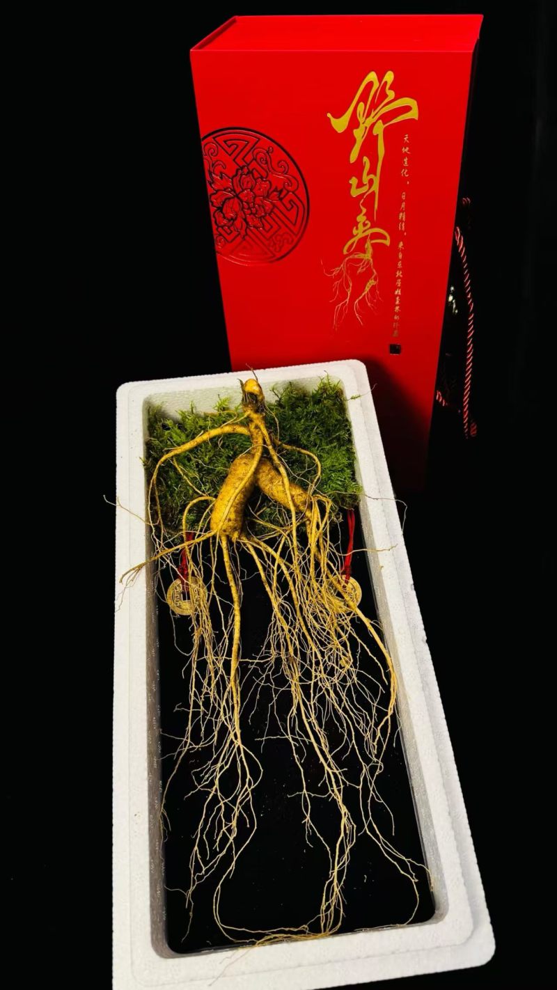 【实力推荐】精品林下参，品类齐全常年有货冷库储存欢迎采购