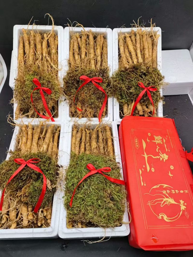 【优选】精品人参/长白山鲜参/产地货源/接电商/定制包装