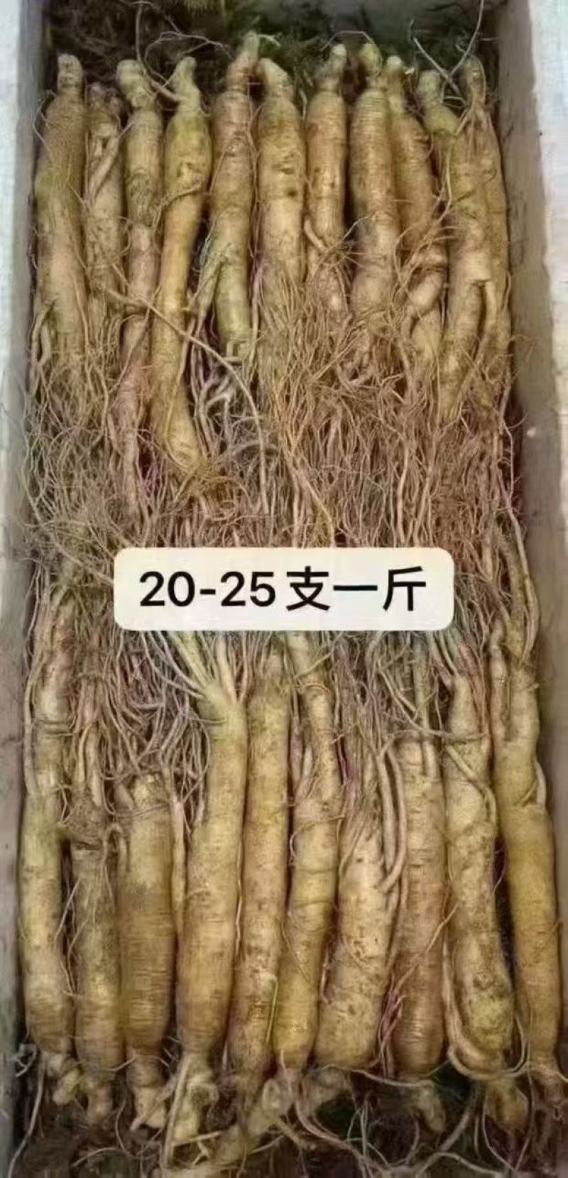 【优选】精品人参/长白山鲜参/产地货源/接电商/定制包装