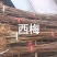 李子苗西梅李子苗苗场直发提供技术可视频看货