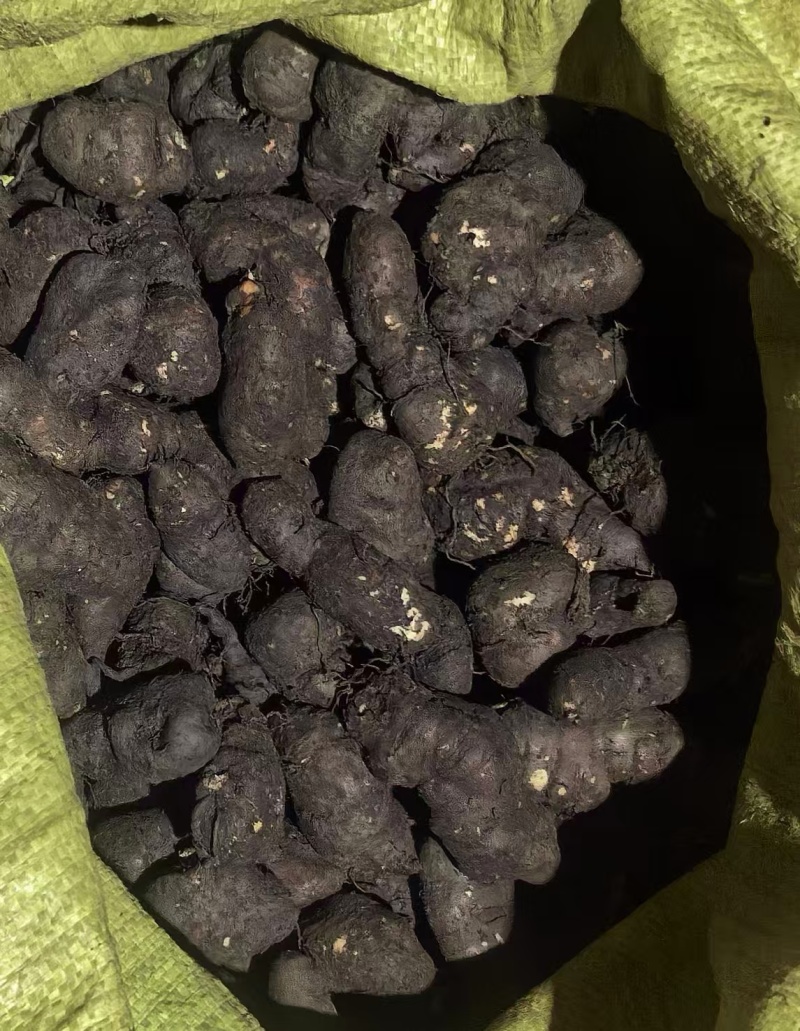 新鲜三叶青果产地直发品质保证支持视频看货欢迎来电